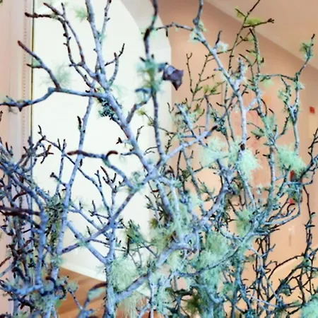 Elegant In + Terrace + 120 M²