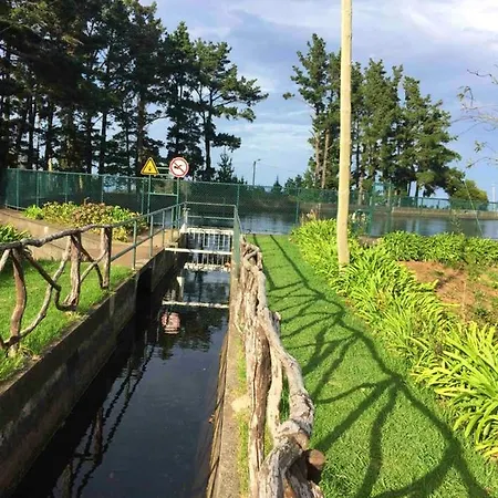 Elegant In + Terrace + 120 M² Levada Grande