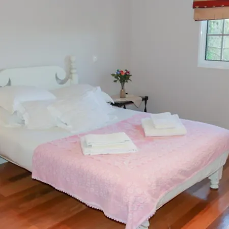 Apartment Elegant In + Terrace + 120 M² Levada Grande